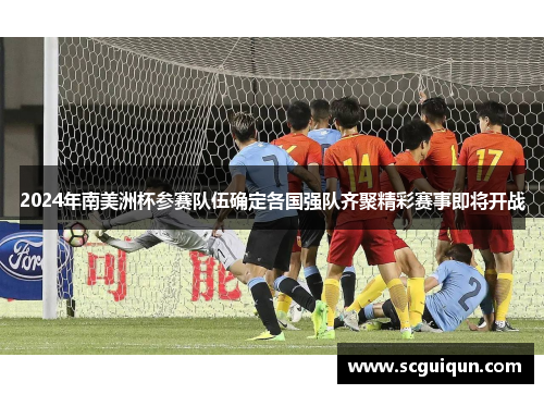 2024年南美洲杯参赛队伍确定各国强队齐聚精彩赛事即将开战