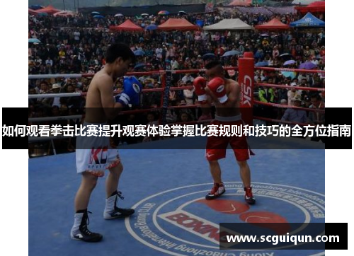 如何观看拳击比赛提升观赛体验掌握比赛规则和技巧的全方位指南