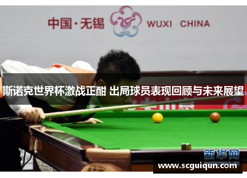 斯诺克世界杯激战正酣 出局球员表现回顾与未来展望 斯诺克世界杯激战正酣 出局球员表现回顾与未来展望