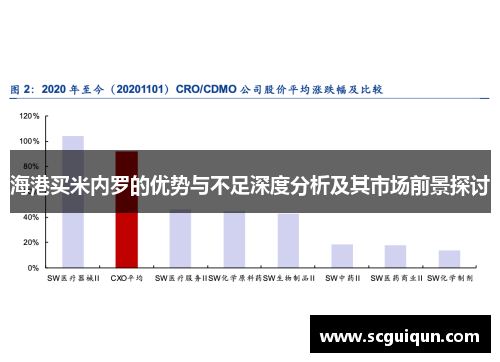 海港买米内罗的优势与不足深度分析及其市场前景探讨 海港买米内罗的优势与不足深度分析及其市场前景探讨