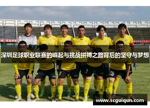 深圳足球职业联赛的崛起与挑战拼搏之路背后的坚守与梦想 深圳足球职业联赛的崛起与挑战拼搏之路背后的坚守与梦想